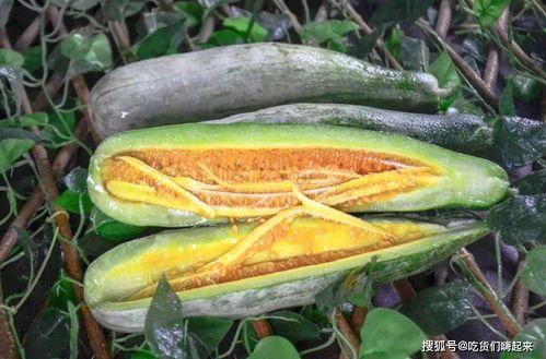 网红爆料吃瓜平台,吃瓜平台背后的真相大曝光！  第1张